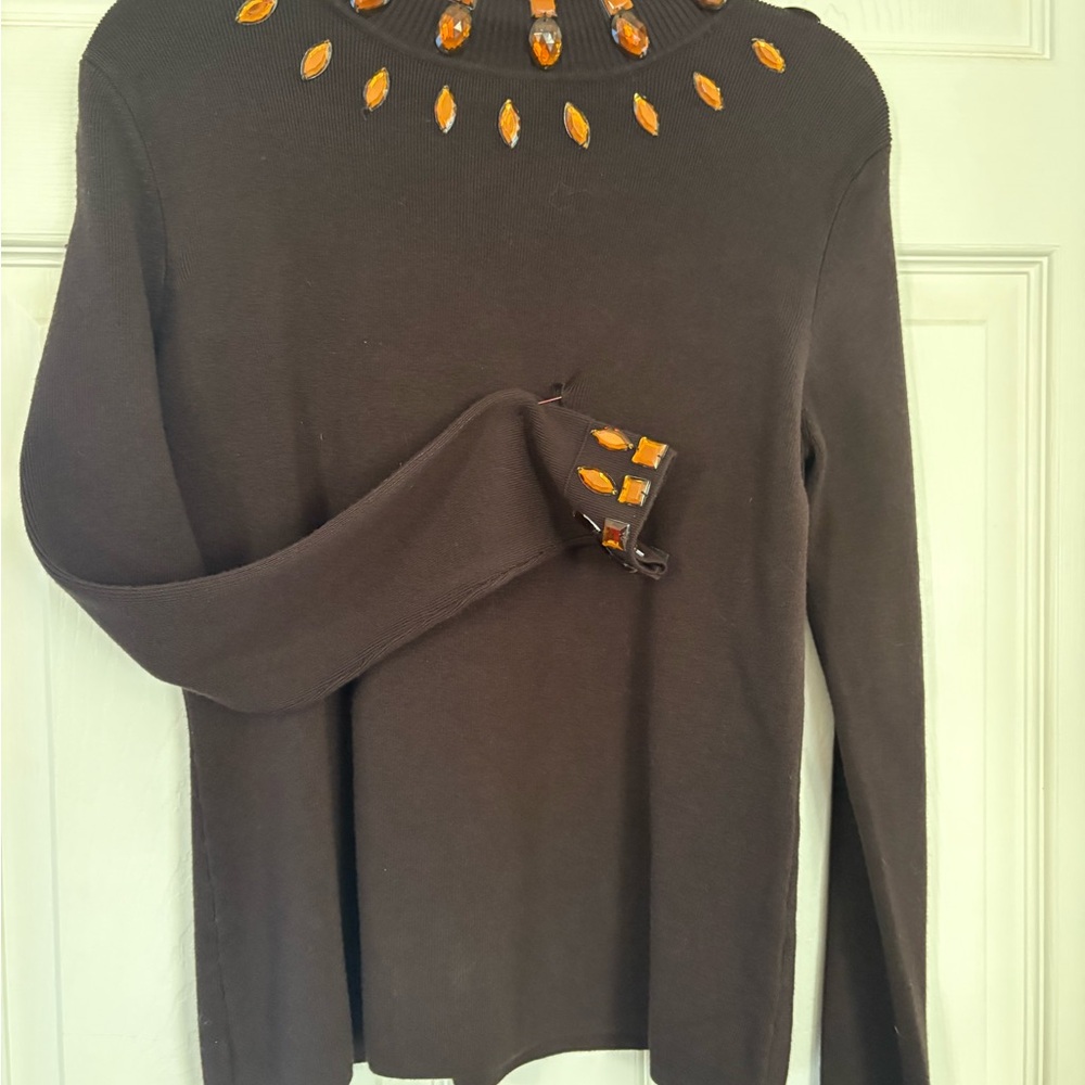 Brown sweater with embellishments along neckline and cuffs